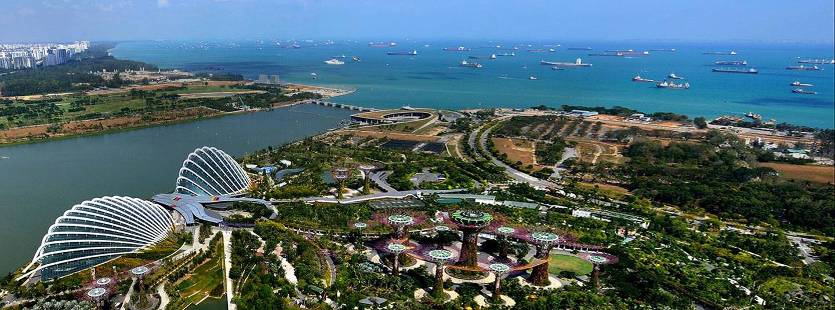 An aerial view of Gardens by the Bay in Singapore by day.